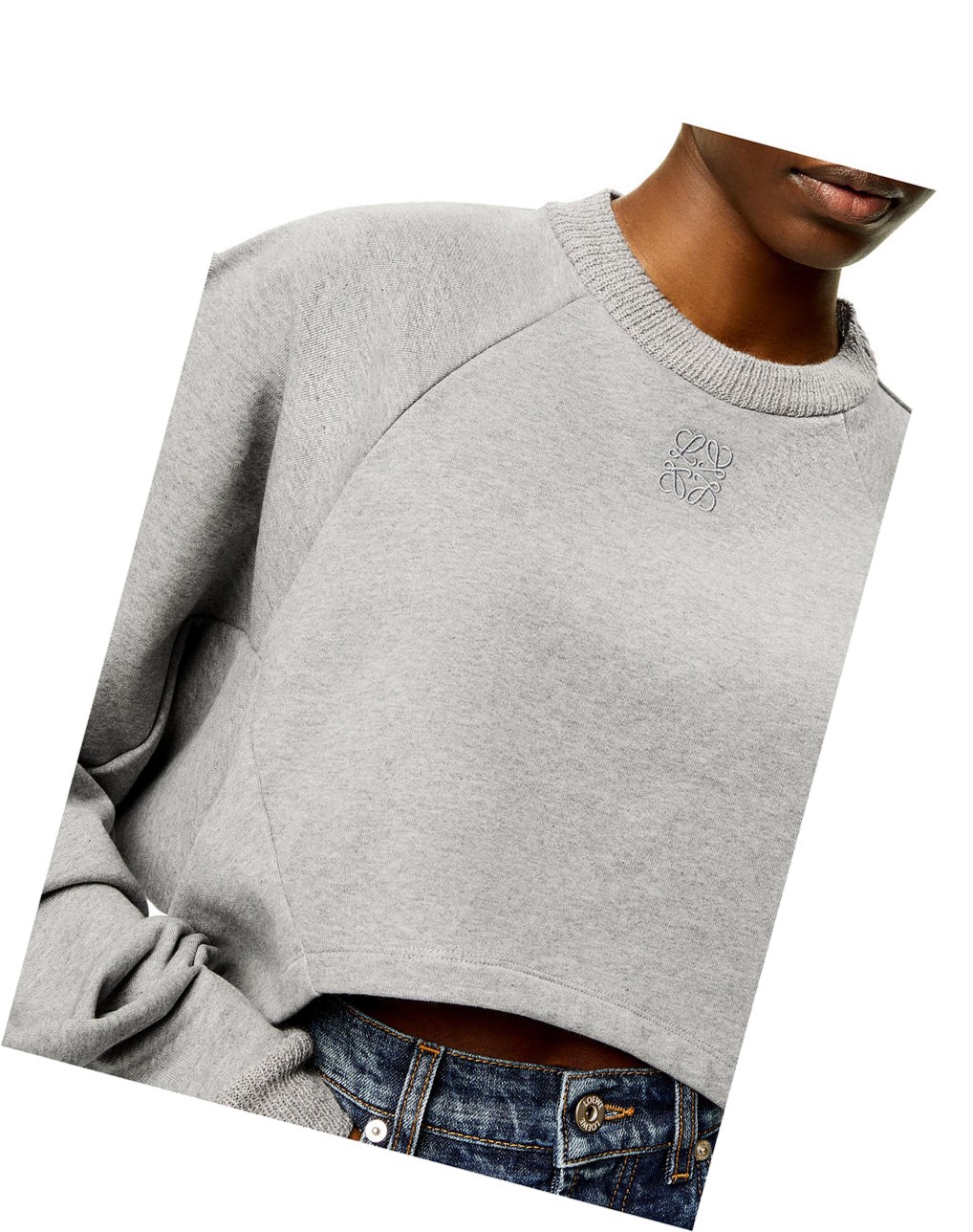 Loewe Anagram cropped sweatshirt in cotton Grises | QINAX-3261