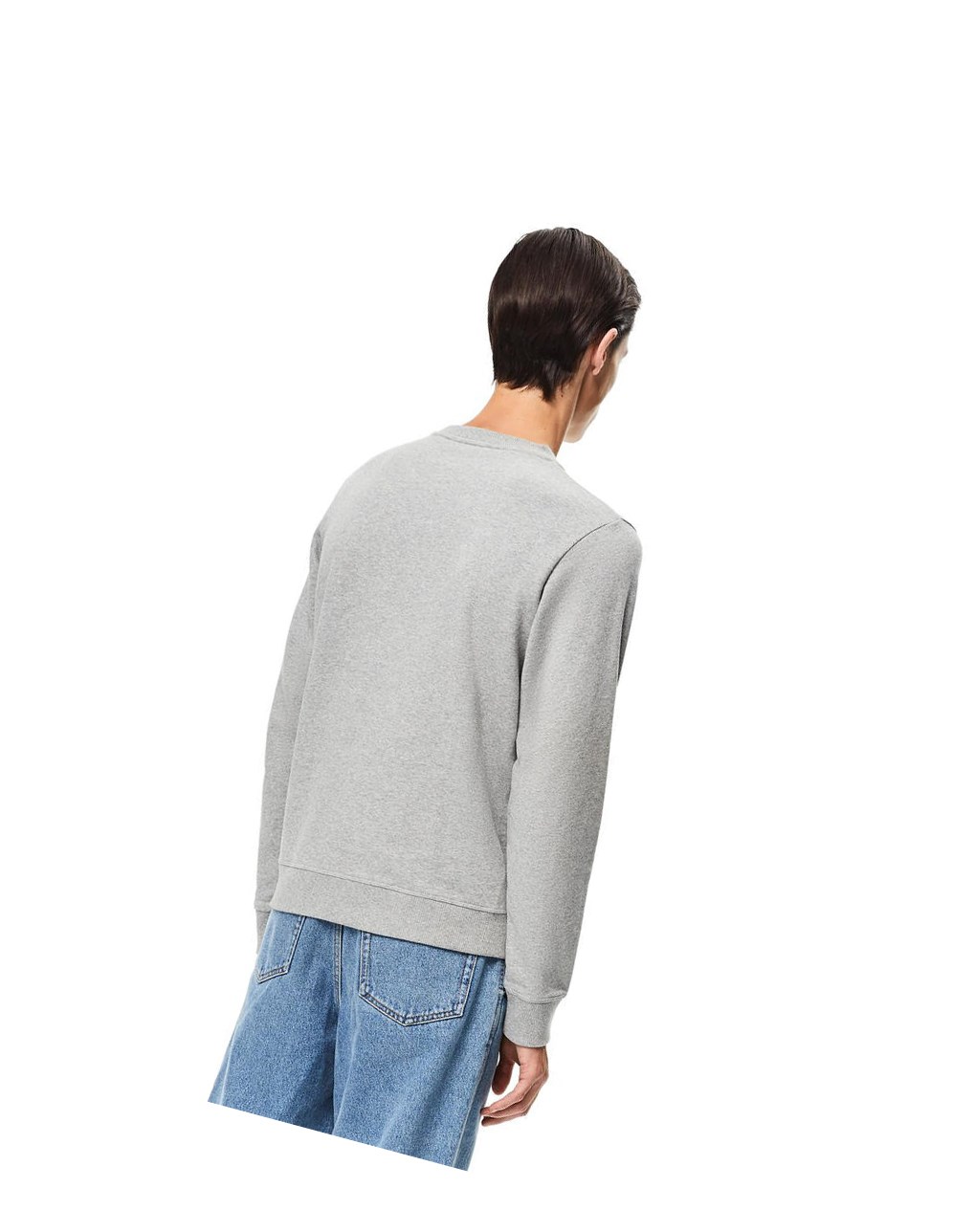 Loewe Anagram embroidered sweatshirt in cotton Grises | GKFWQ-3698
