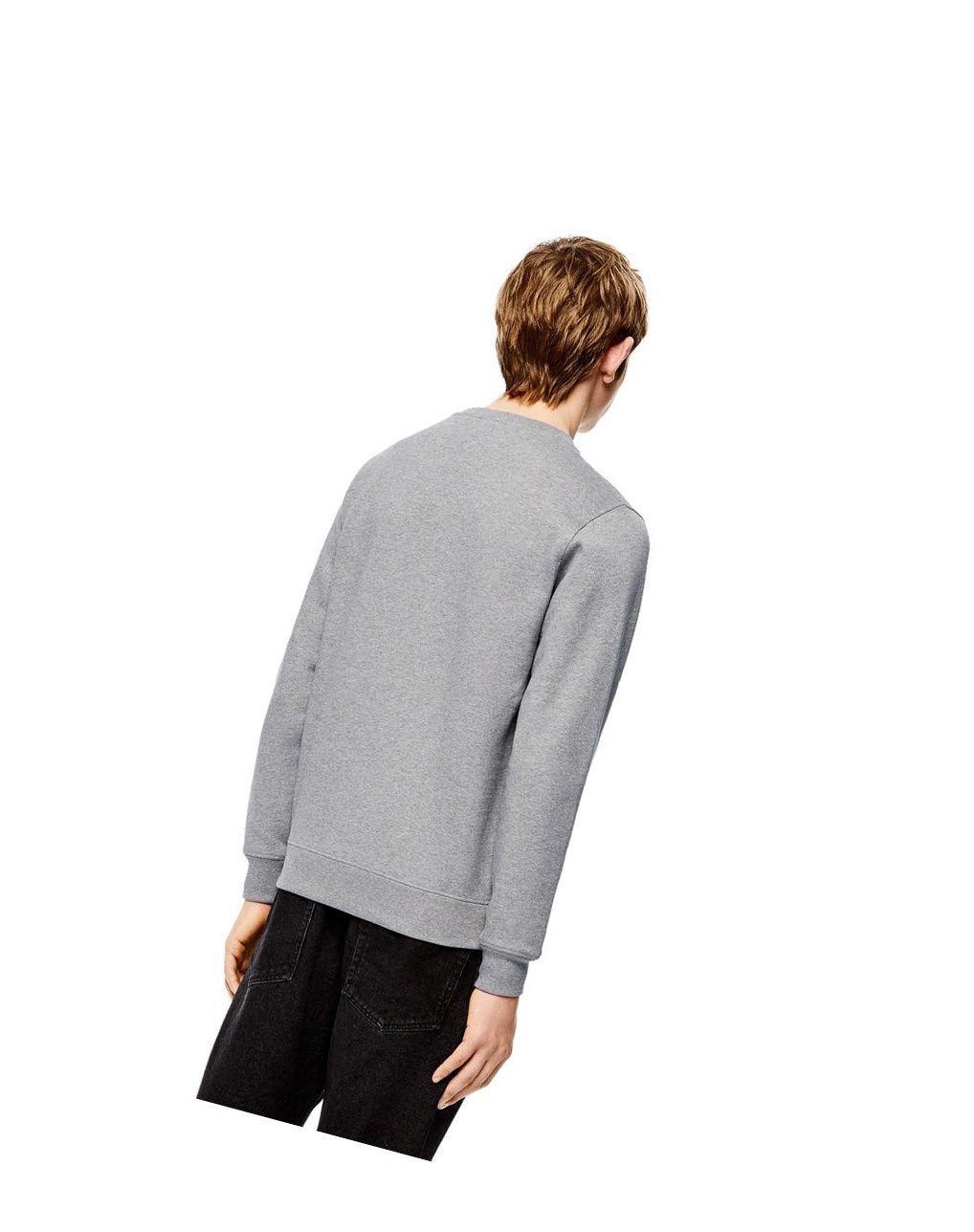 Loewe Anagram sweatshirt in cotton Grises | WOYGU-9483