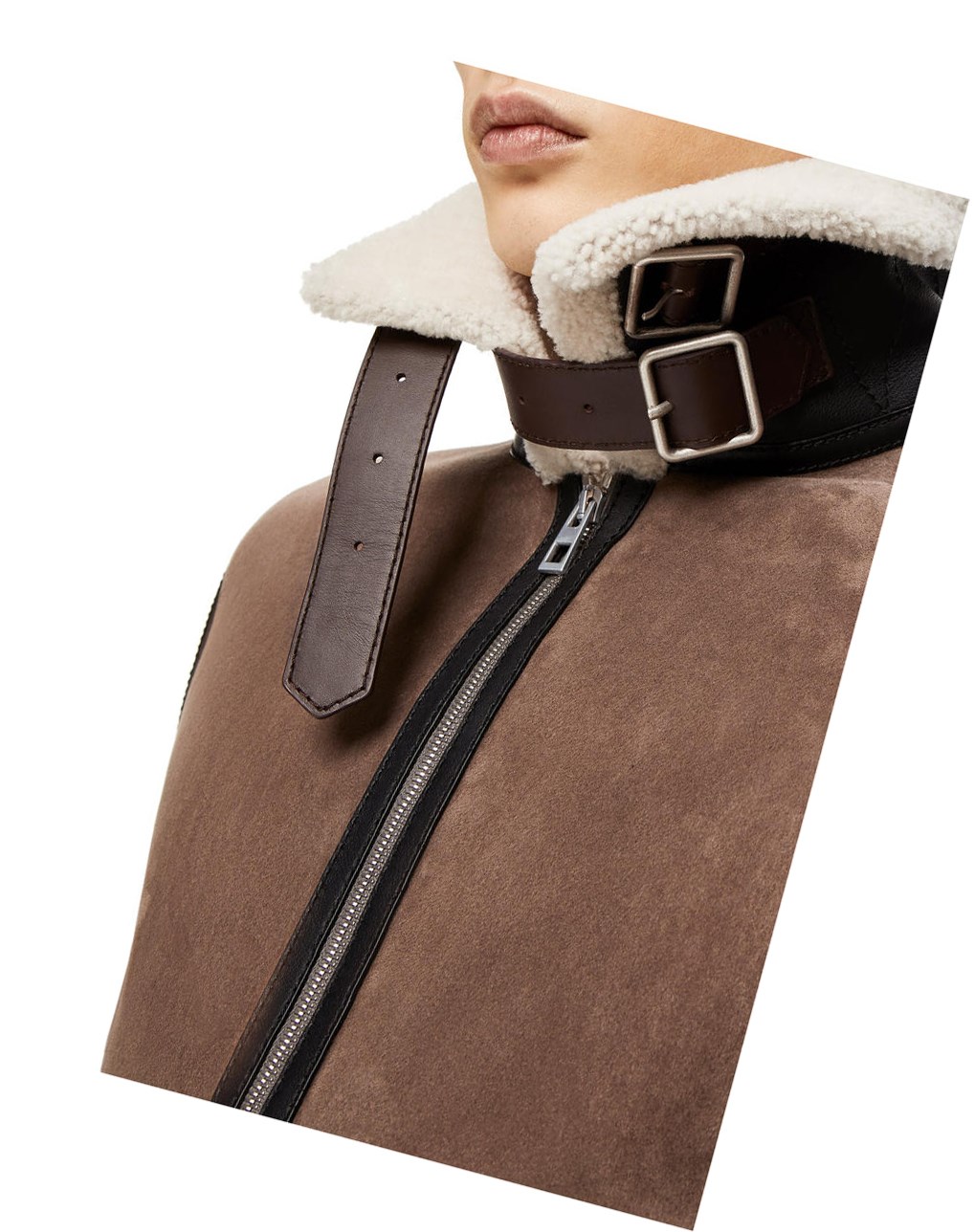 Loewe Aviator jacket in shearling Natural / Taupe | DOVFI-8546