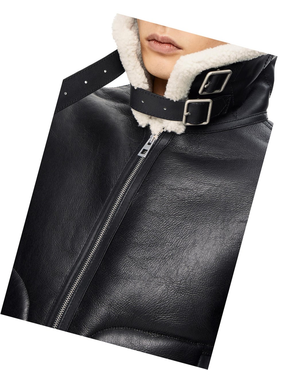 Loewe Aviator jacket in shearling Negros Blancos | PZEBH-6308