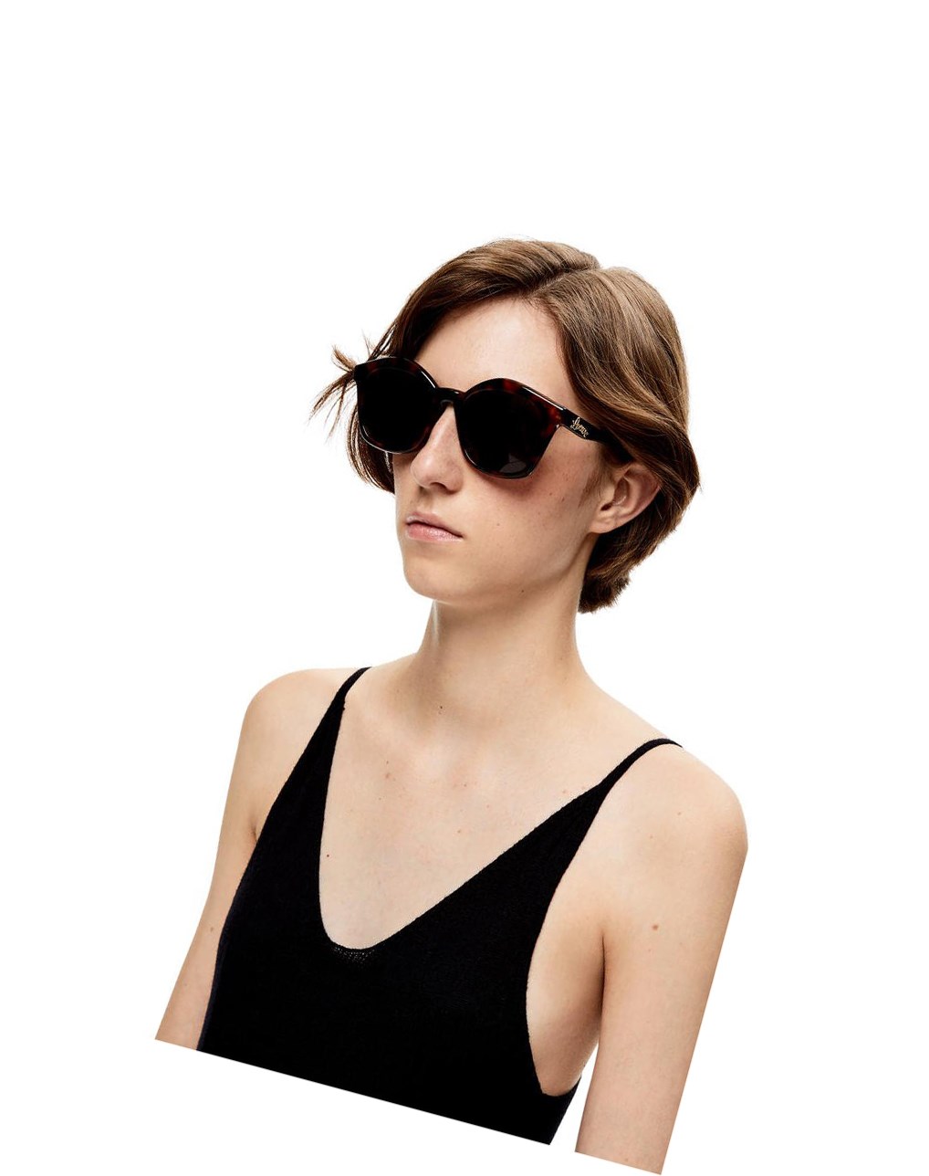 Loewe Browline sunglasses in acetate Shiny Classic Havana | FJBNW-9357