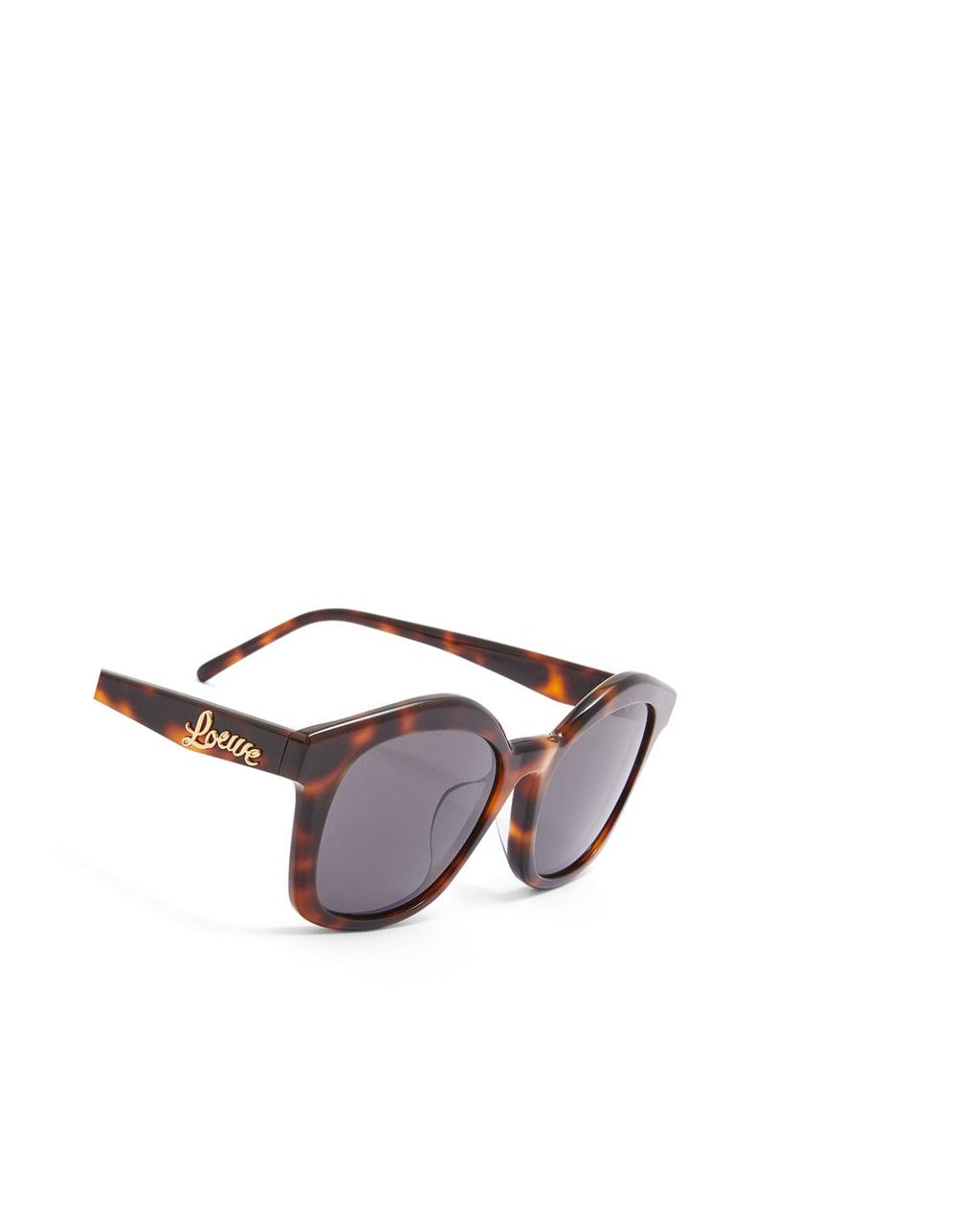Loewe Browline sunglasses in acetate Shiny Classic Havana | FJBNW-9357