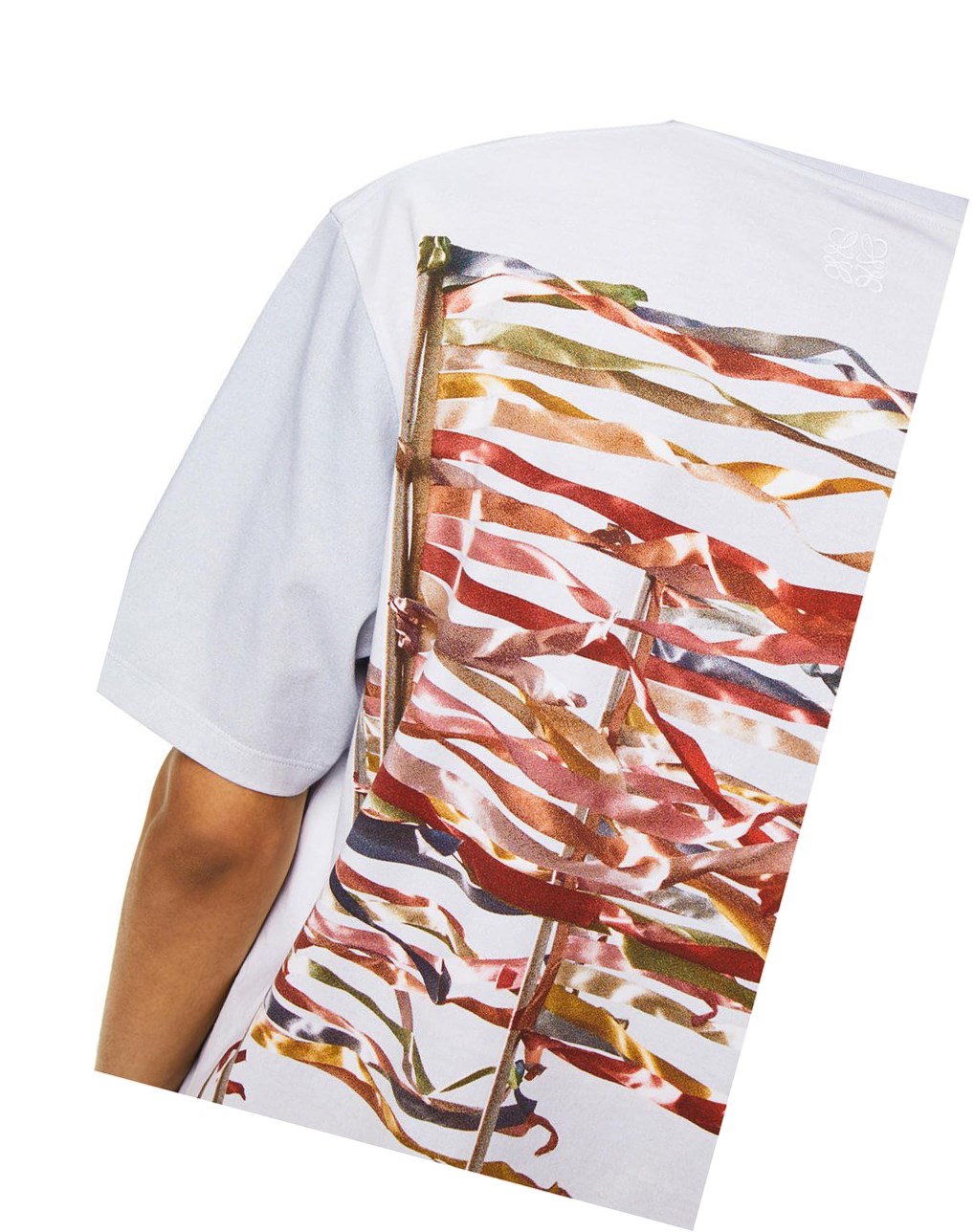 Loewe Flag print T-shirt in cotton Blancos | VNRDK-3519