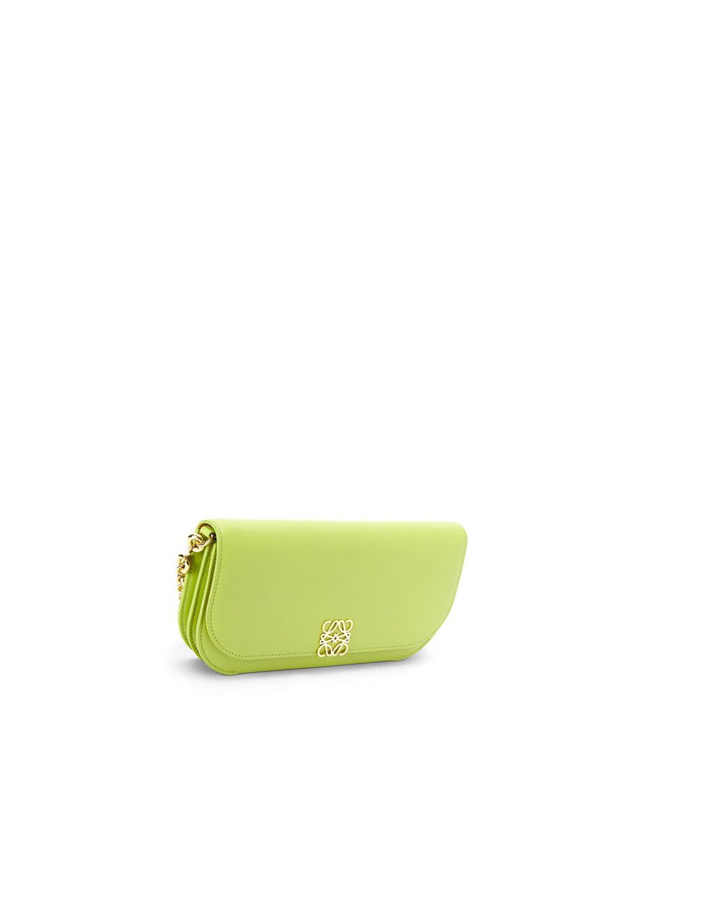 Loewe Goya Long Chain Clutch in silk calfskin Verdes | ENLDB-8065