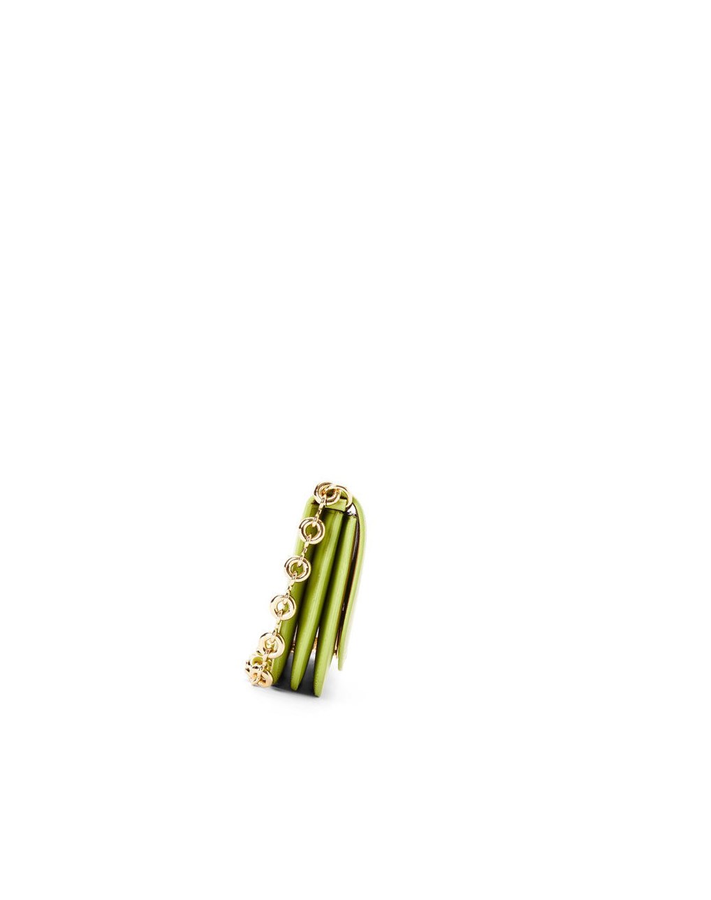 Loewe Goya Long Chain Clutch in silk calfskin Verdes | ENLDB-8065
