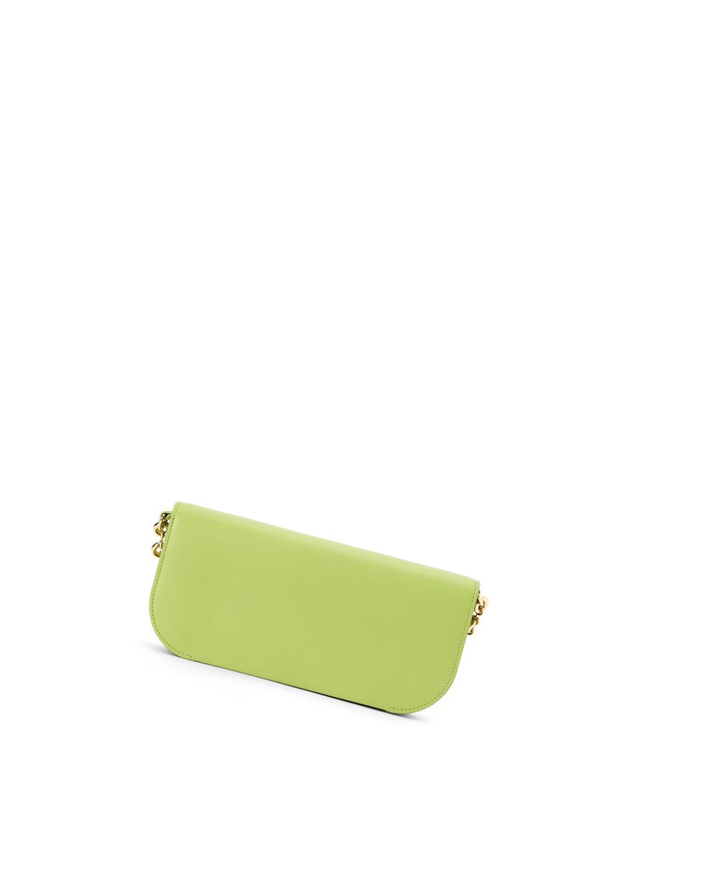 Loewe Goya Long Chain Clutch in silk calfskin Verdes | ENLDB-8065