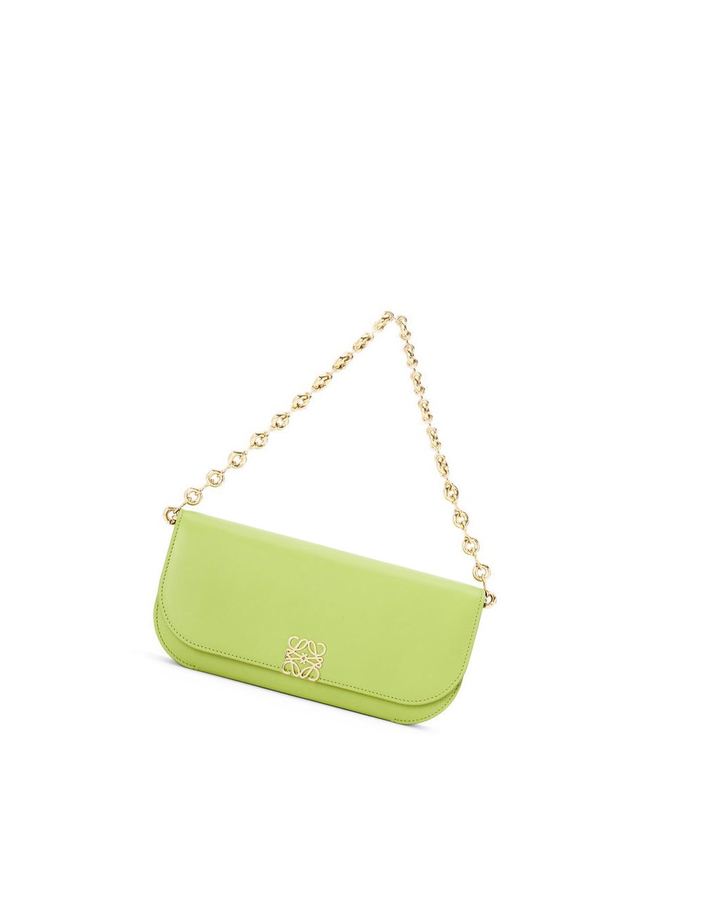 Loewe Goya Long Chain Clutch in silk calfskin Verdes | ENLDB-8065