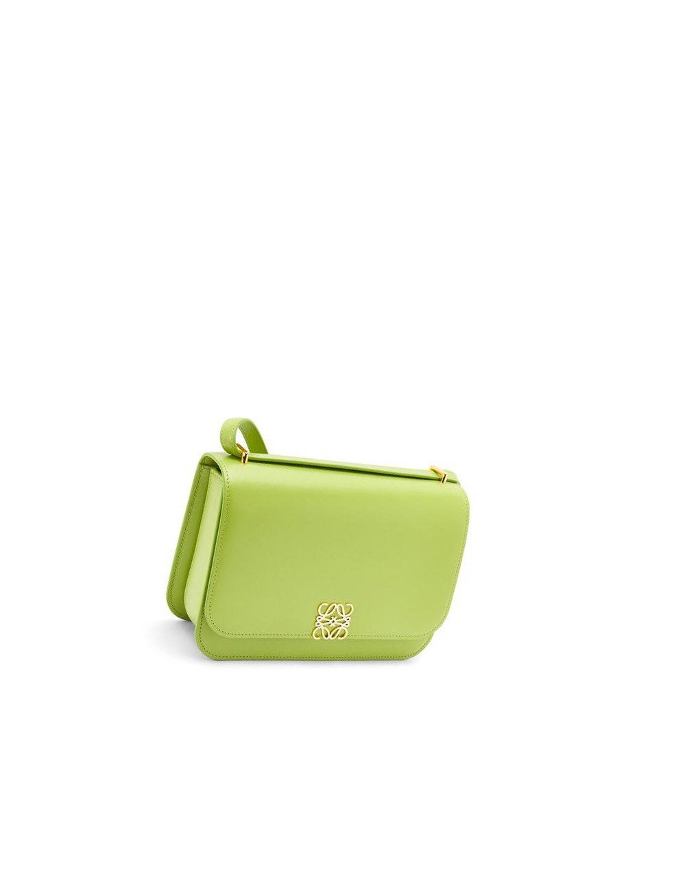 Loewe Goya bag in silk calfskin Verdes | YEPKH-2836