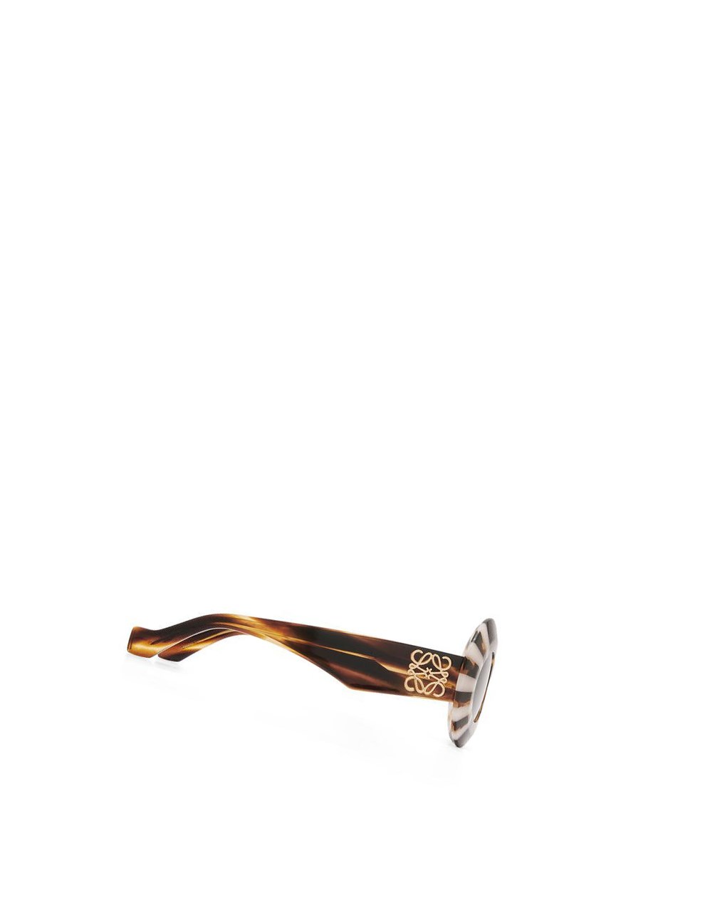 Loewe Oversized oval sunglasses in acetate Havana / Cotton Candy | SMARG-5713