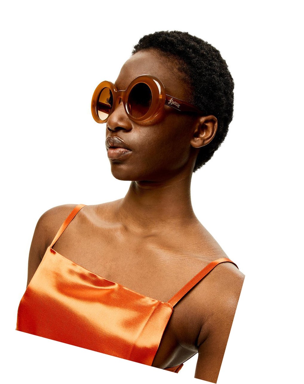 Loewe Oversized round sunglasses in acetate Marrom Claro | IMAPD-5941