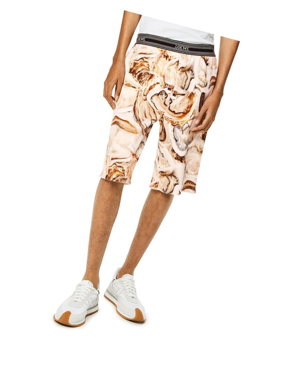 Loewe Oyster ribbed shorts in cotton Beige Claro Multicolor | RPBXH-9024