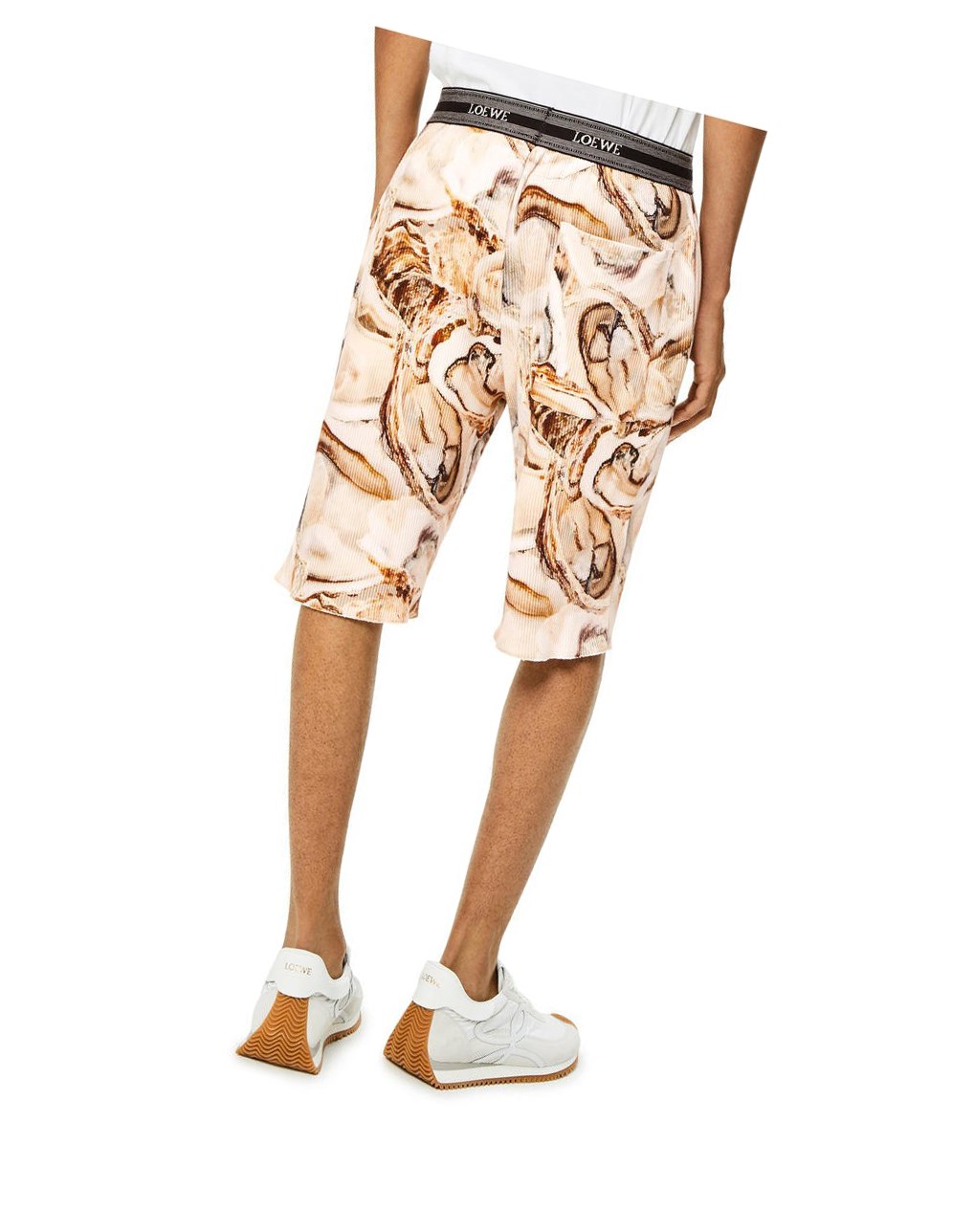 Loewe Oyster ribbed shorts in cotton Beige Claro Multicolor | RPBXH-9024