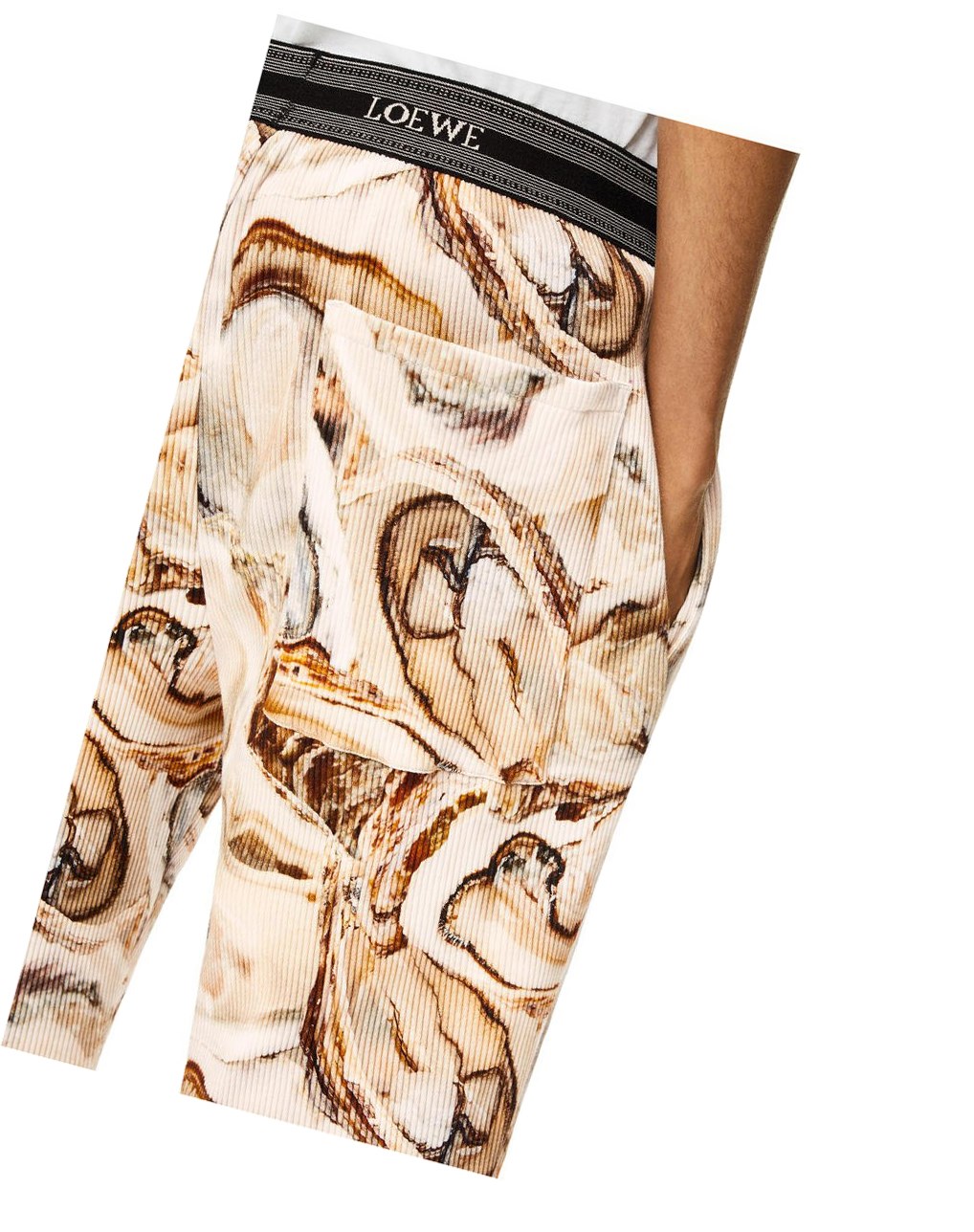 Loewe Oyster ribbed shorts in cotton Beige Claro Multicolor | RPBXH-9024
