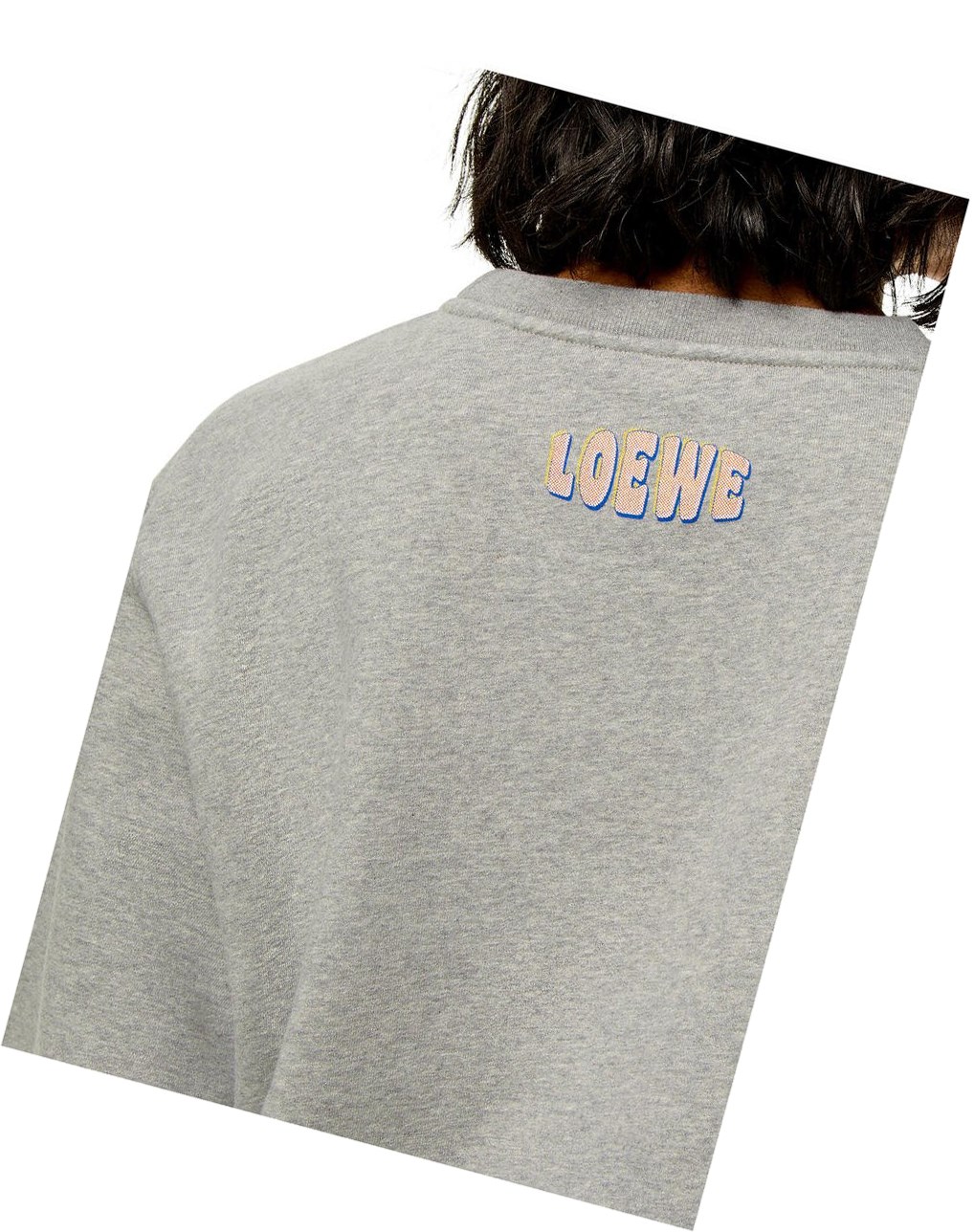 Loewe Oysters print sweatshirt in cotton Grises | NVPZM-5987