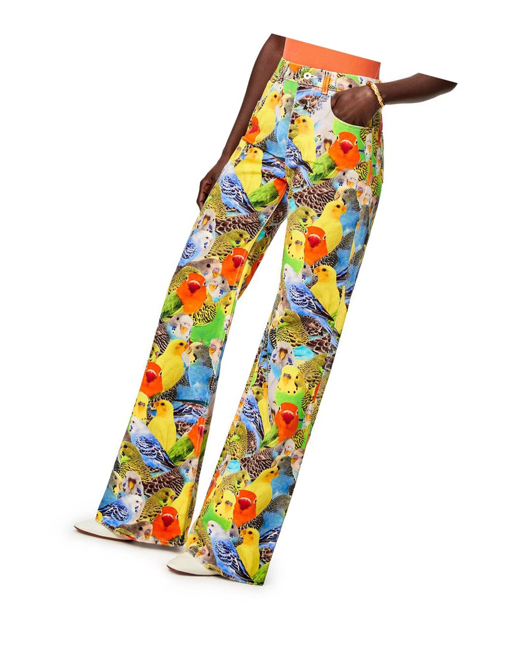 Loewe Parrots jeans in denim Naranjas Azules Amarillos | PQSHL-3674