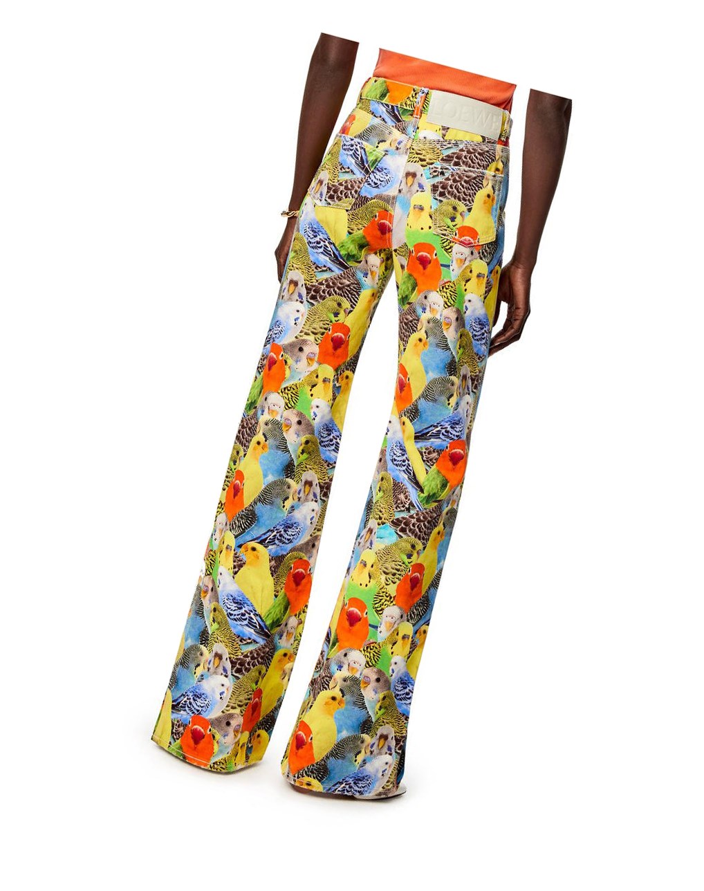 Loewe Parrots jeans in denim Naranjas Azules Amarillos | PQSHL-3674