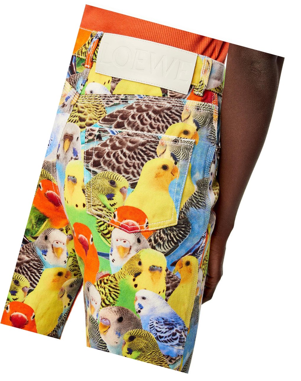 Loewe Parrots jeans in denim Naranjas Azules Amarillos | PQSHL-3674