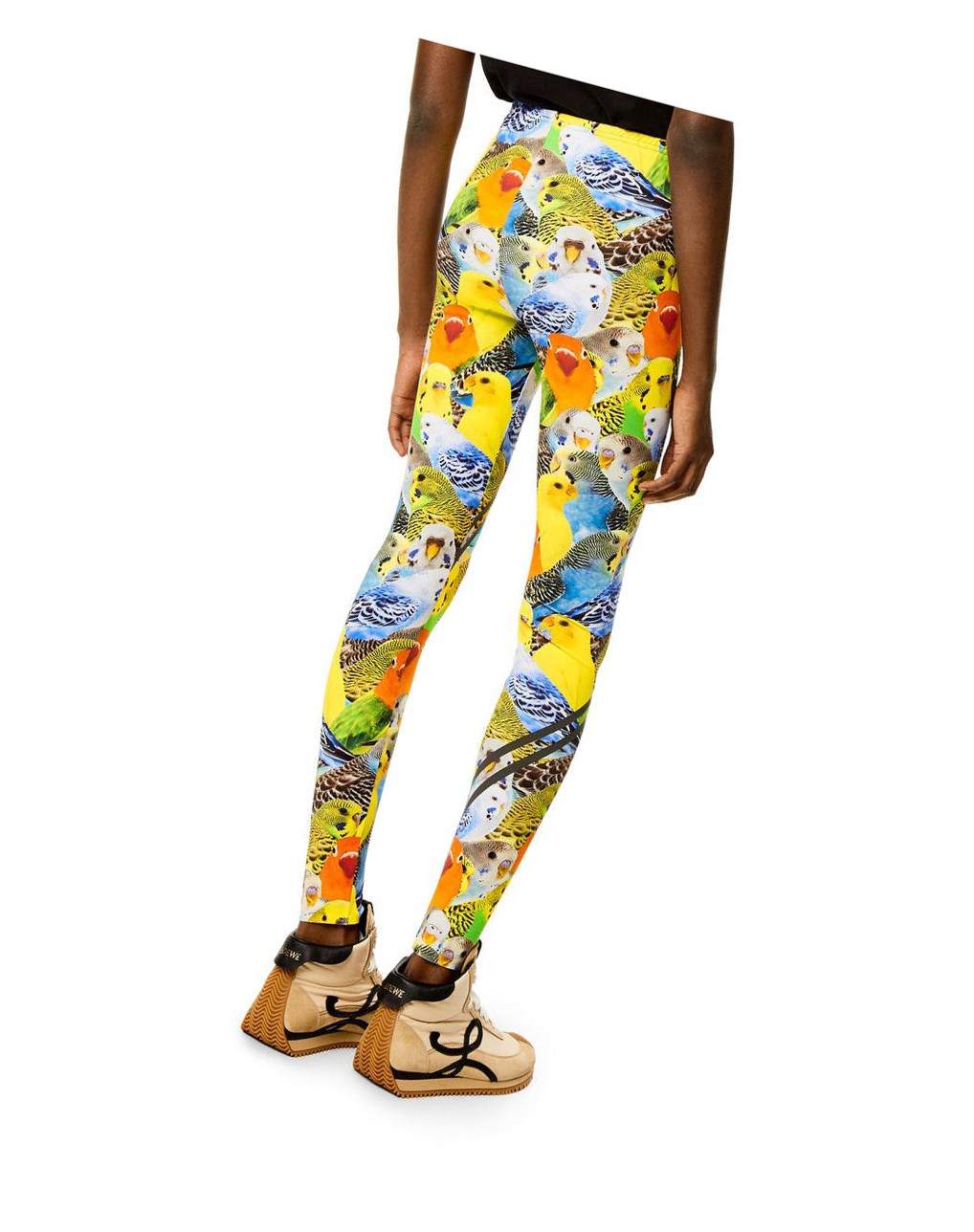 Loewe Parrots leggings in polyamide Naranjas Azules Amarillos | MPXJQ-9327