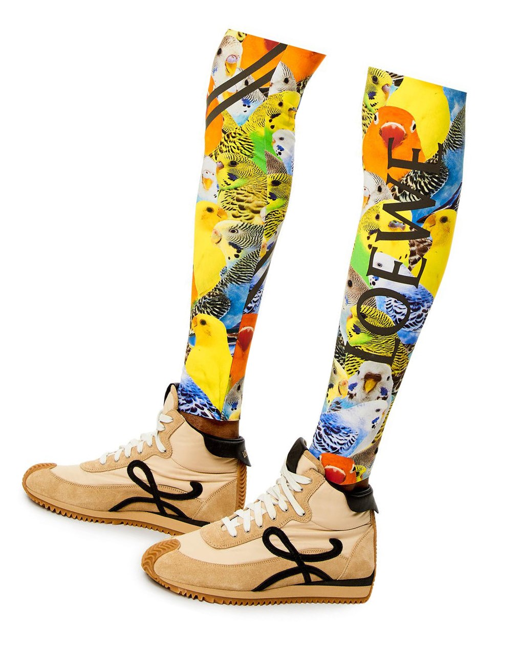 Loewe Parrots leggings in polyamide Naranjas Azules Amarillos | MPXJQ-9327