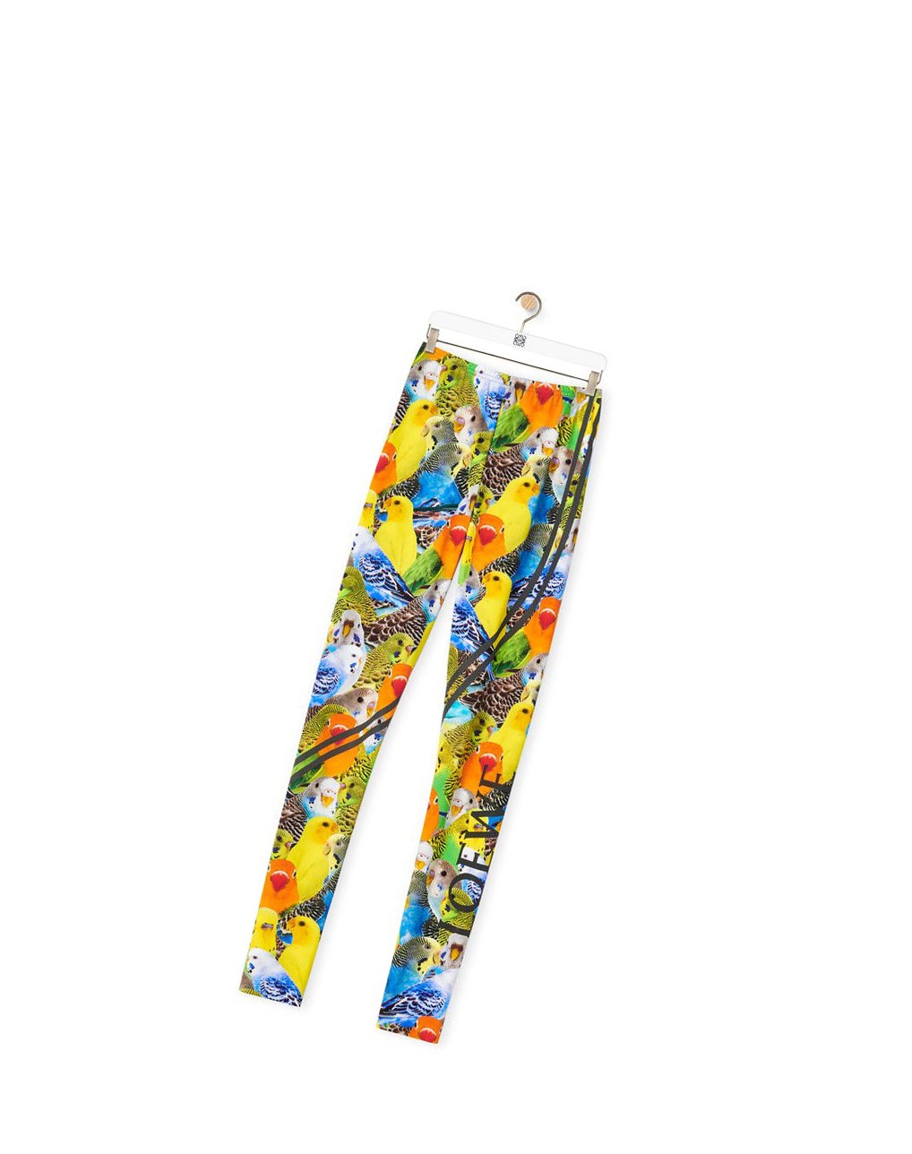 Loewe Parrots leggings in polyamide Naranjas Azules Amarillos | MPXJQ-9327