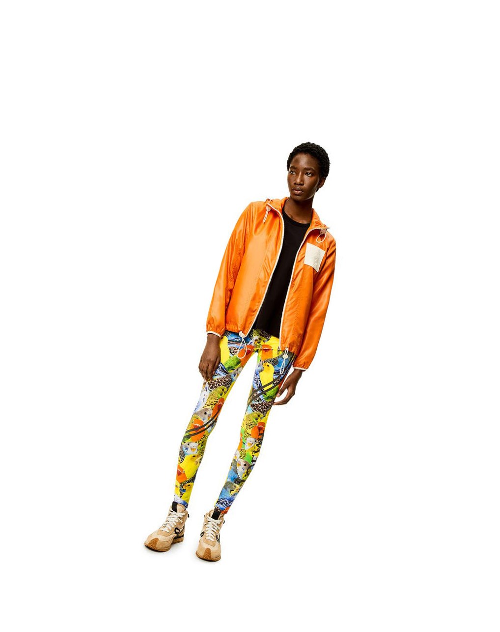Loewe Parrots leggings in polyamide Naranjas Azules Amarillos | MPXJQ-9327