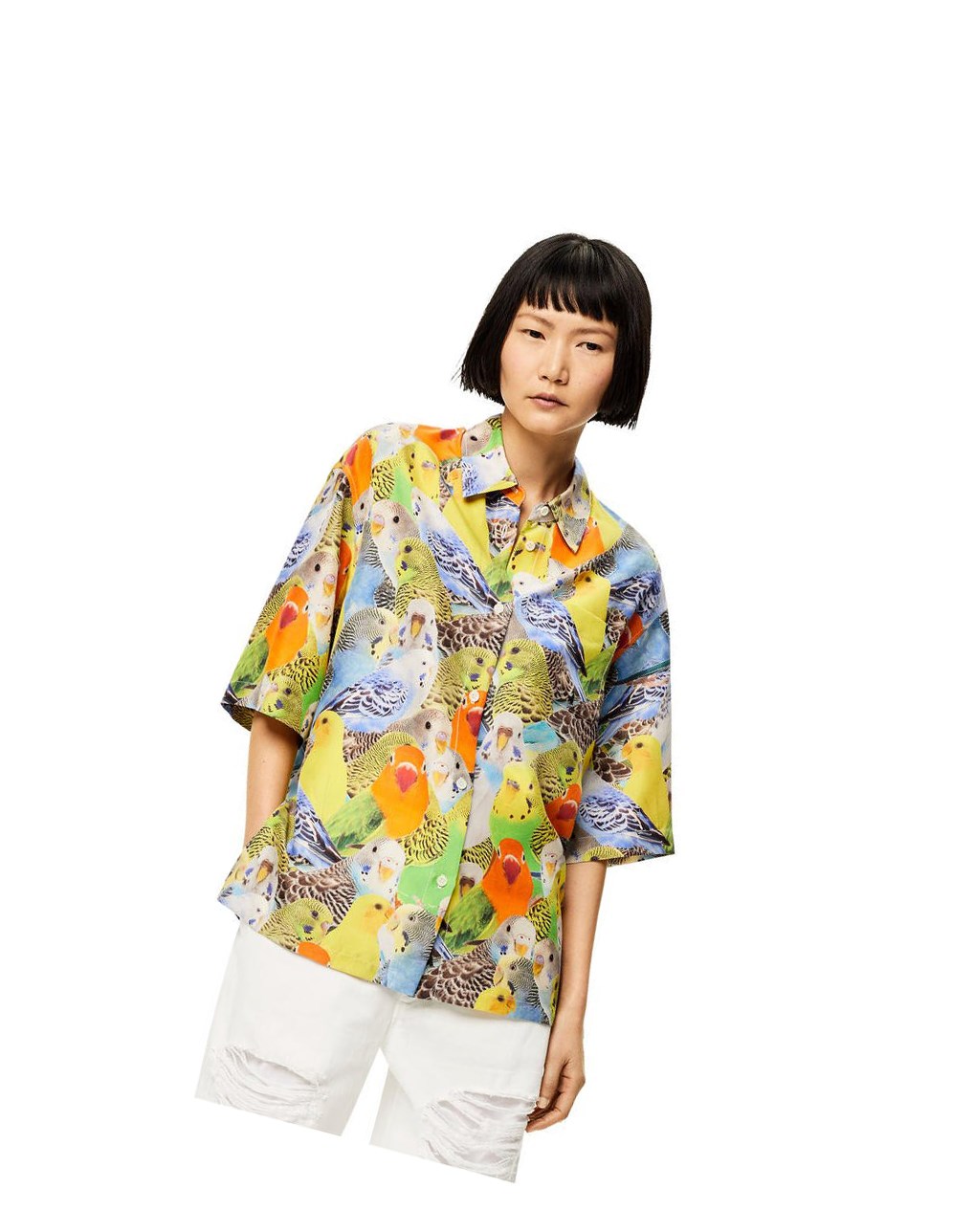Loewe Parrots print shirt in silk Naranjas Azules Amarillos | QVKSP-8527