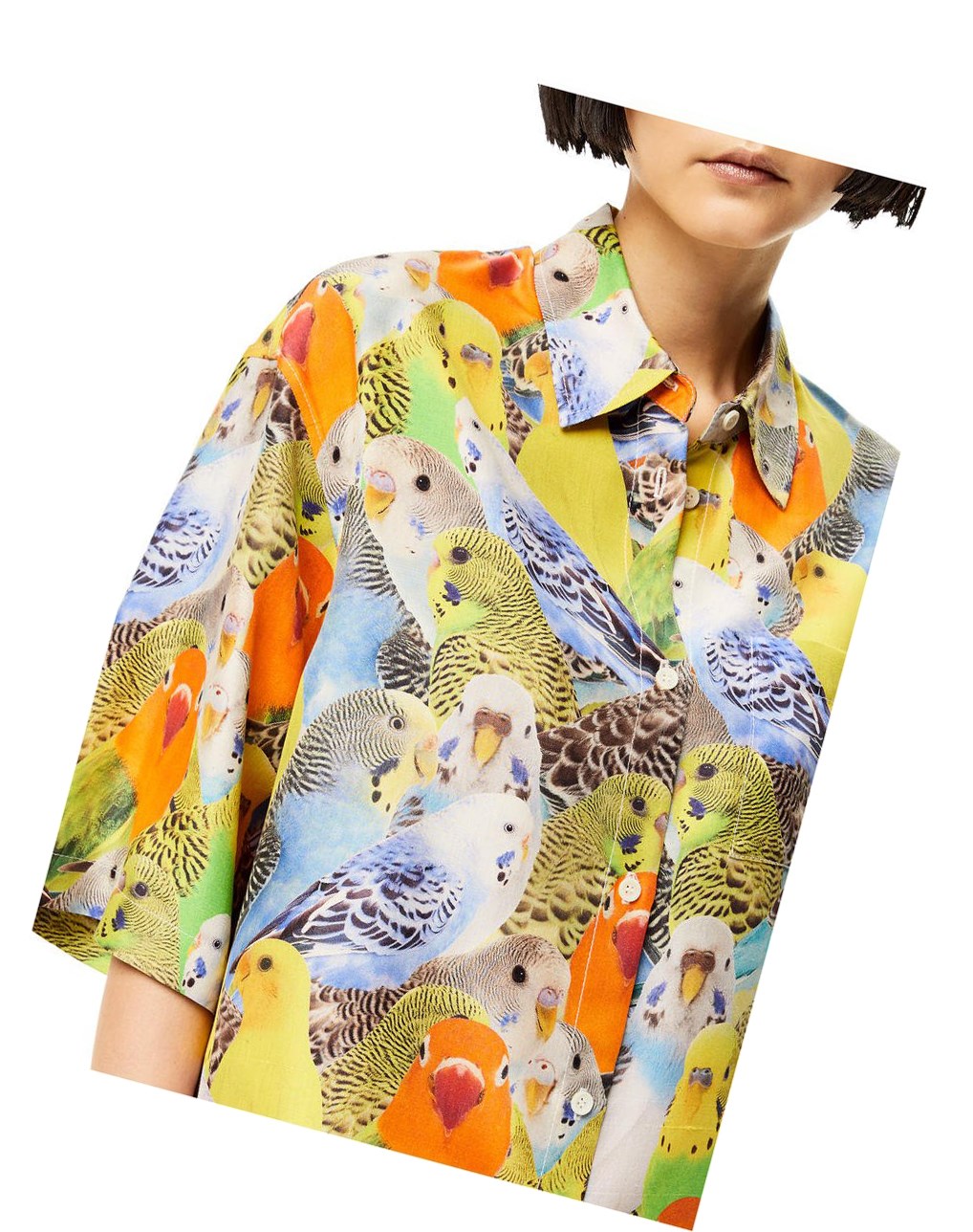 Loewe Parrots print shirt in silk Naranjas Azules Amarillos | QVKSP-8527