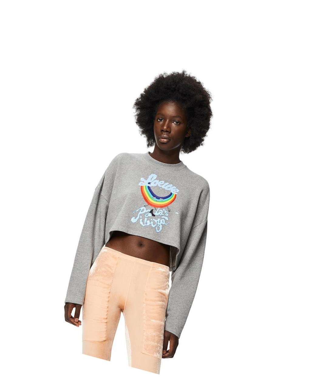 Loewe Rainbow cropped sweatshirt in cotton Grises | AQEPJ-3247