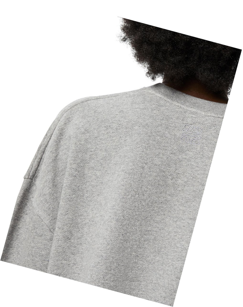 Loewe Rainbow cropped sweatshirt in cotton Grises | AQEPJ-3247