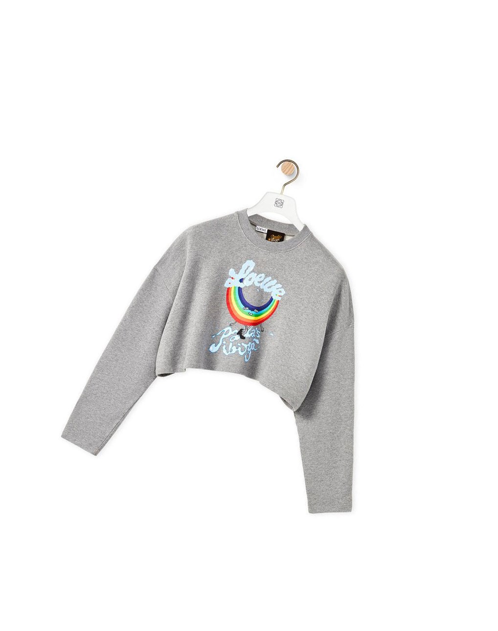 Loewe Rainbow cropped sweatshirt in cotton Grises | AQEPJ-3247