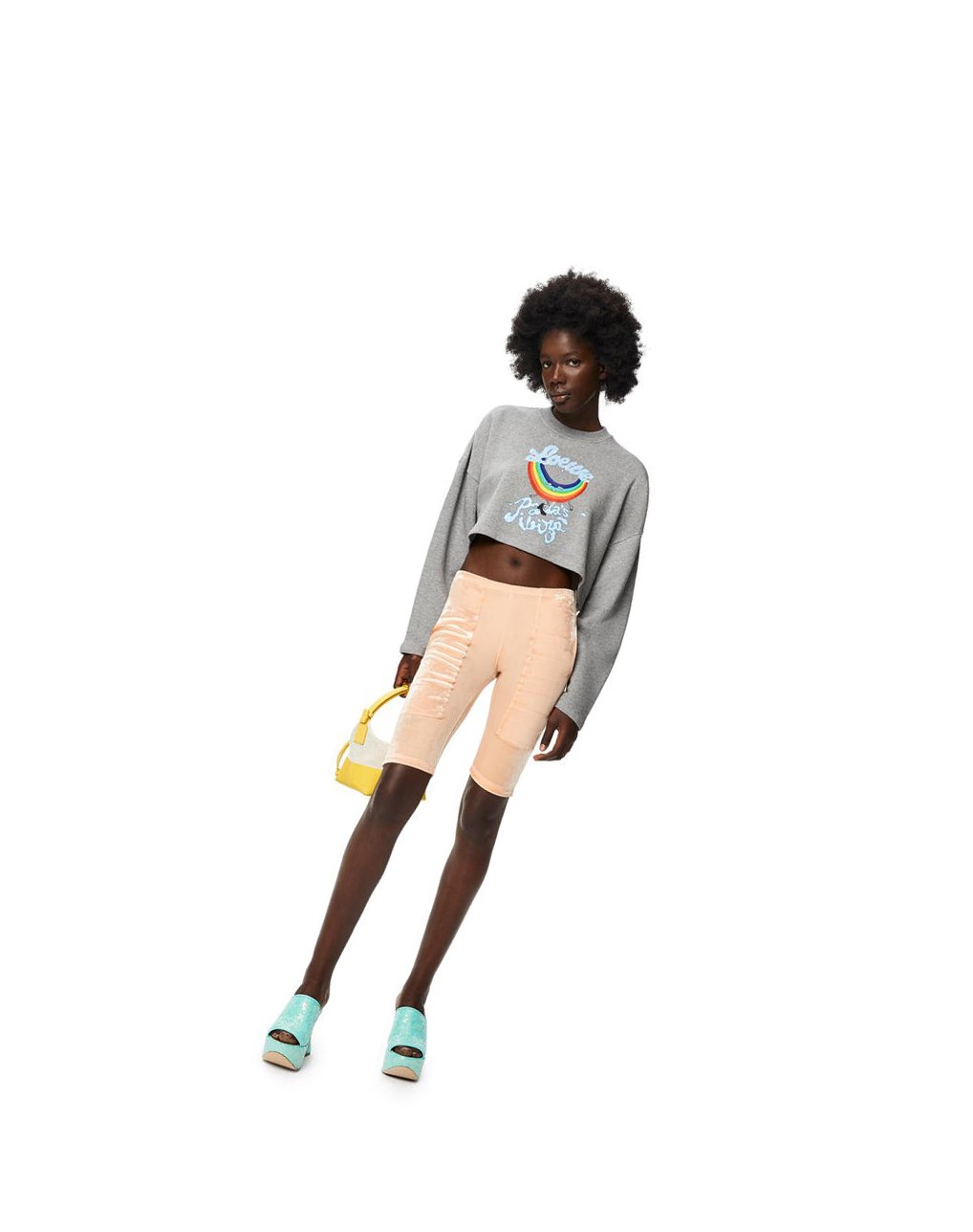 Loewe Rainbow cropped sweatshirt in cotton Grises | AQEPJ-3247