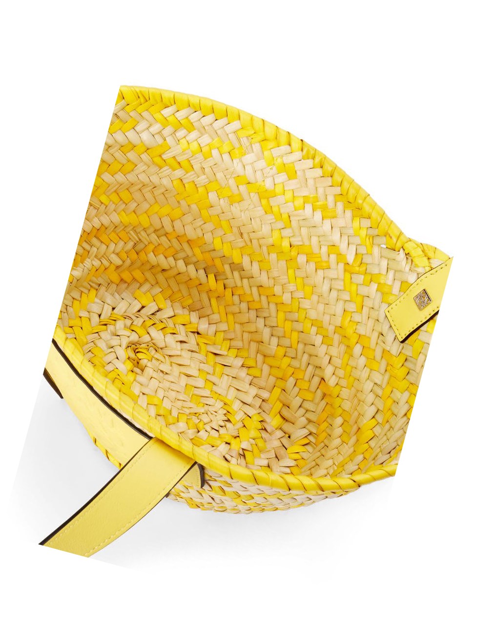 Loewe Small Basket bag in palm leaf and calfskin Azules | QPWCL-9234