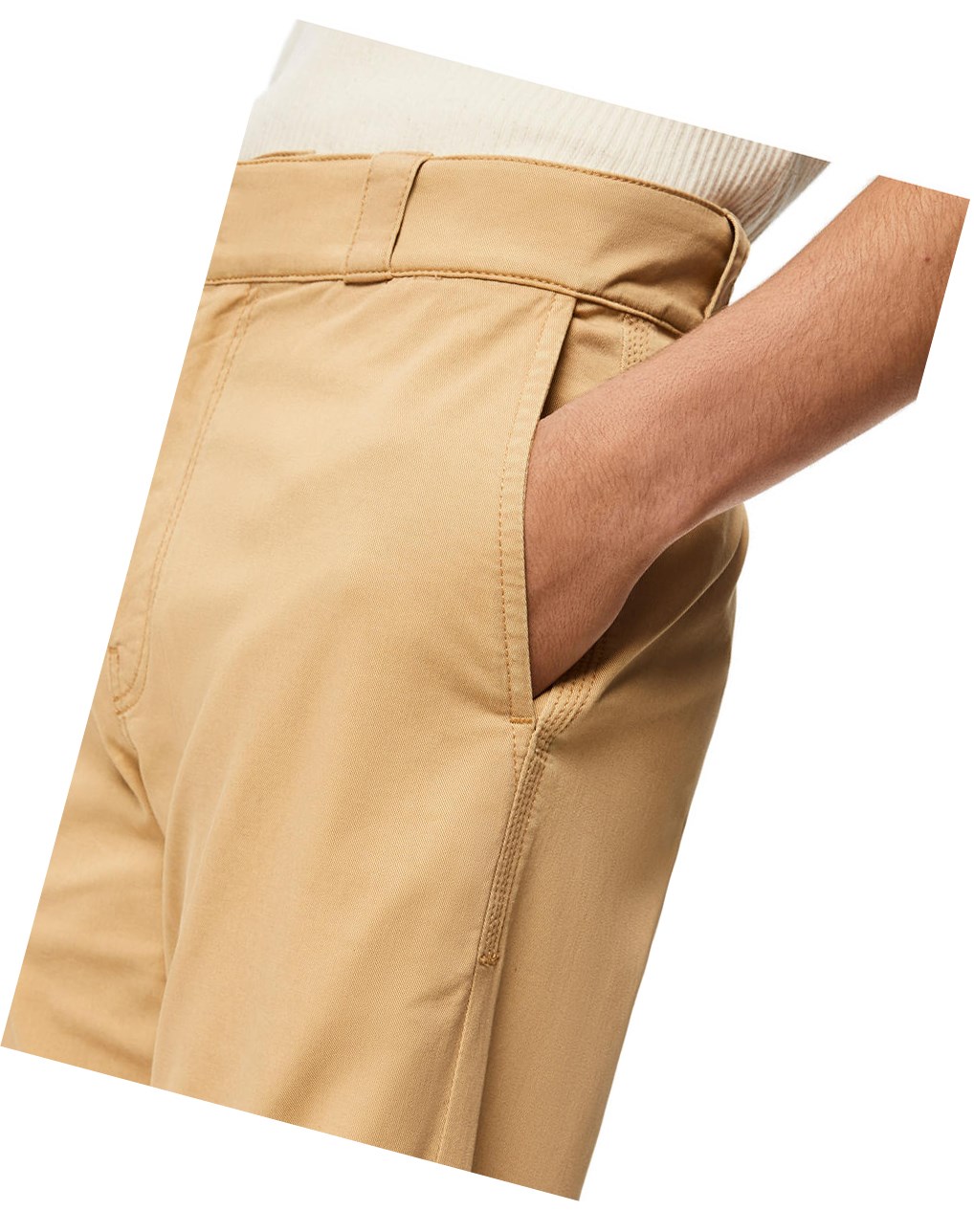 Loewe Straight leg trousers in cotton Beige | XUHSQ-2698