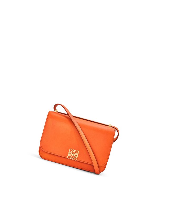 Loewe Goya bag in silk calfskin Naranjas | SJURN-9548