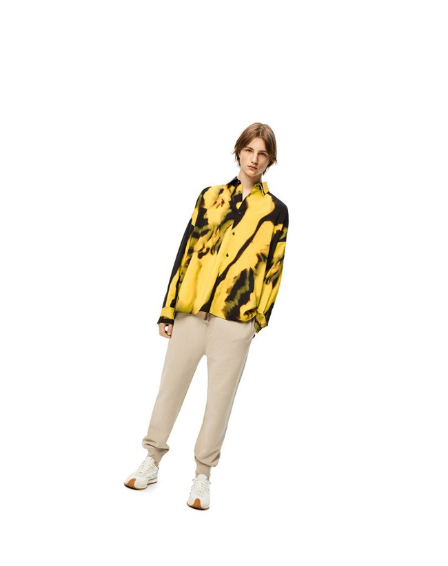 Loewe Jogging trousers in cotton Grises | YRCXS-9768