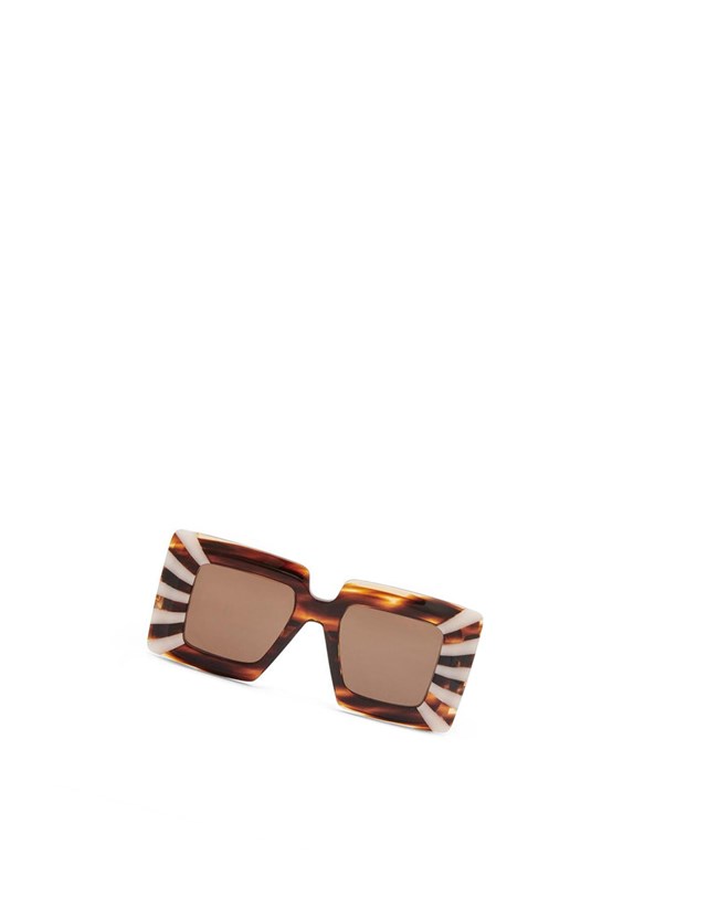 Loewe Oversized square sunglasses in acetate Havana / Cotton Candy | IENSO-7085