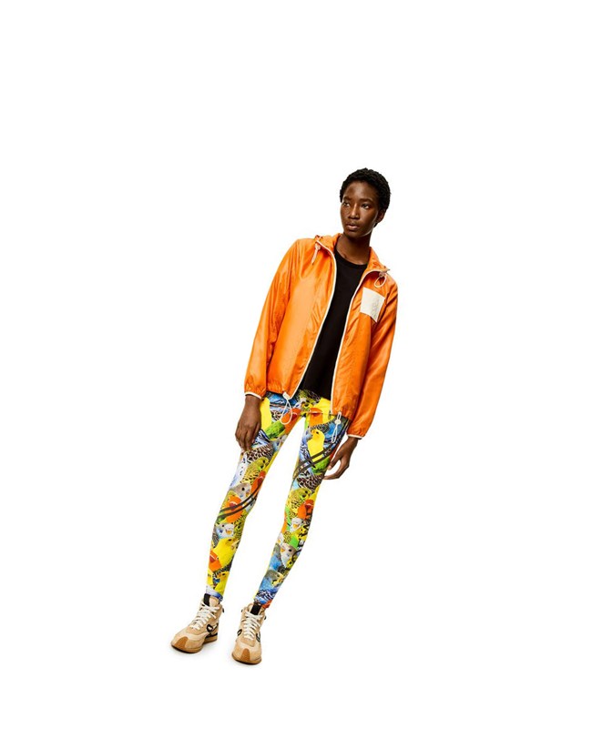 Loewe Parrots leggings in polyamide Naranjas Azules Amarillos | MPXJQ-9327